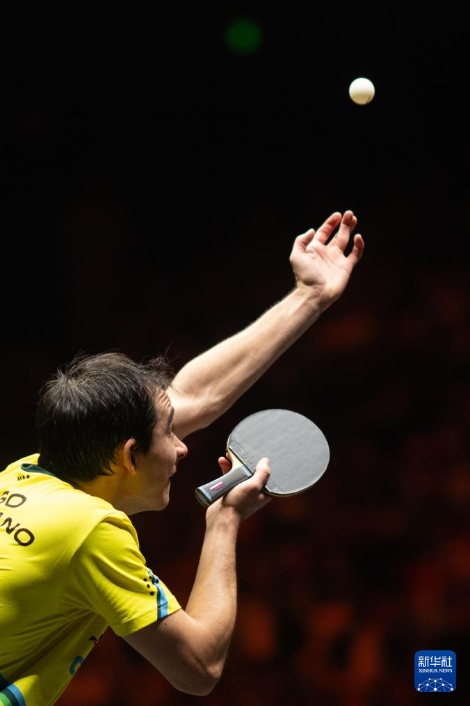 他们引进了 他们引进了